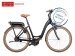 Gestolen Fiets Riese Müller Swing 26